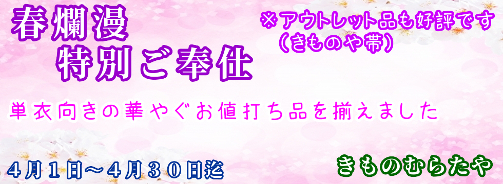 春爛漫特別価格