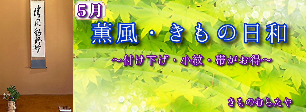 薫風、きもの日和1